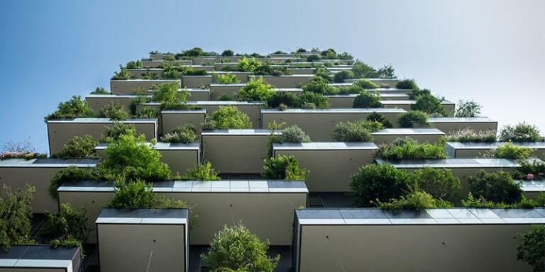 Hortas verticais: um exemplo de ornamentação prática e sustentável