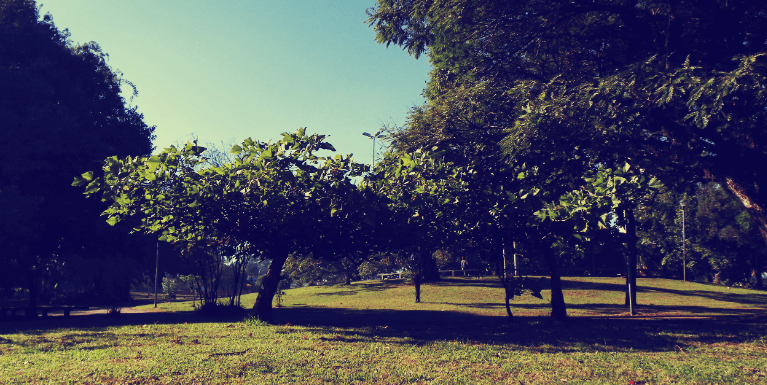 10 lugares para explorar o verde em Porto Alegre