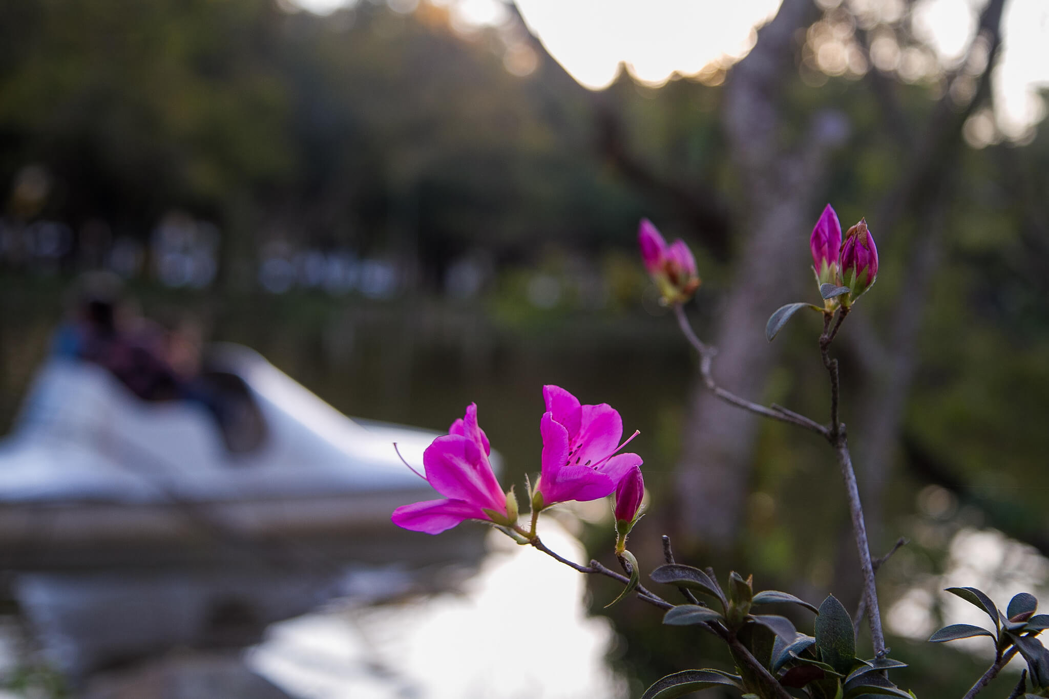 Porto Alegre primavera